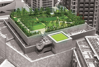 Roof Top Gardening
